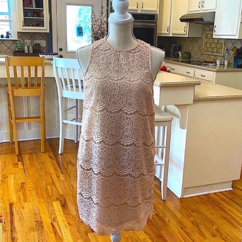 Blueh Ciel light pink lace sleeveless shift dress
